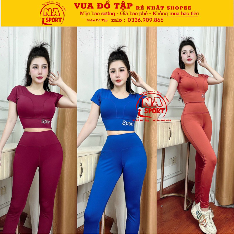 bộ tập chất poly siêu đẹp