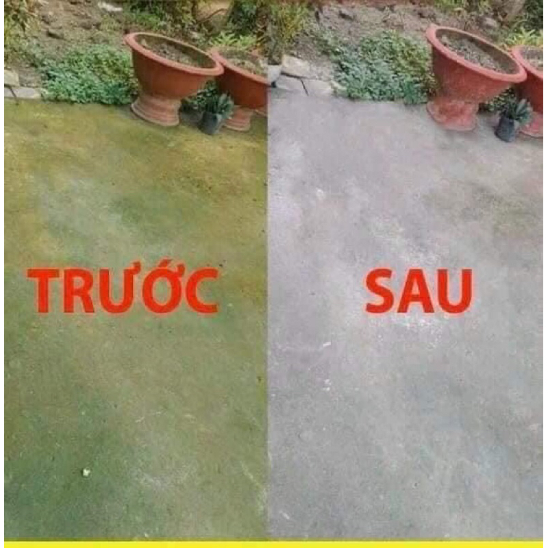 Bột tẩy rong rêu - Chất diệt rong rêu hiệu quả trong 15 phút [1000g]