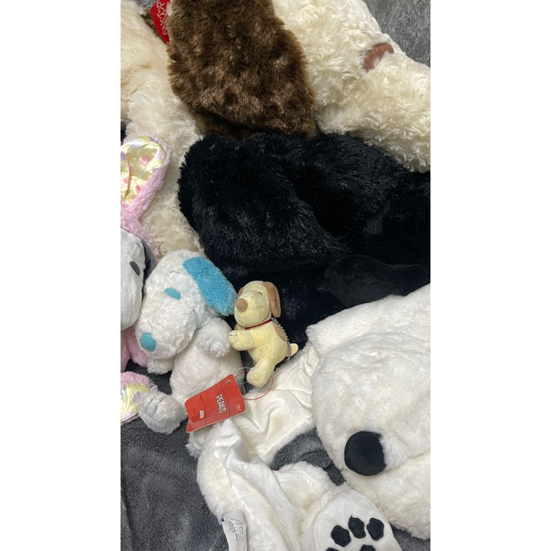 GẤU BÔNG 2HAND SNOPPY