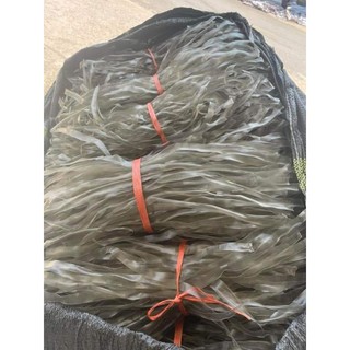 MIẾN DONG THÁI TAY ĐIỆN BIÊN LOẠI 1