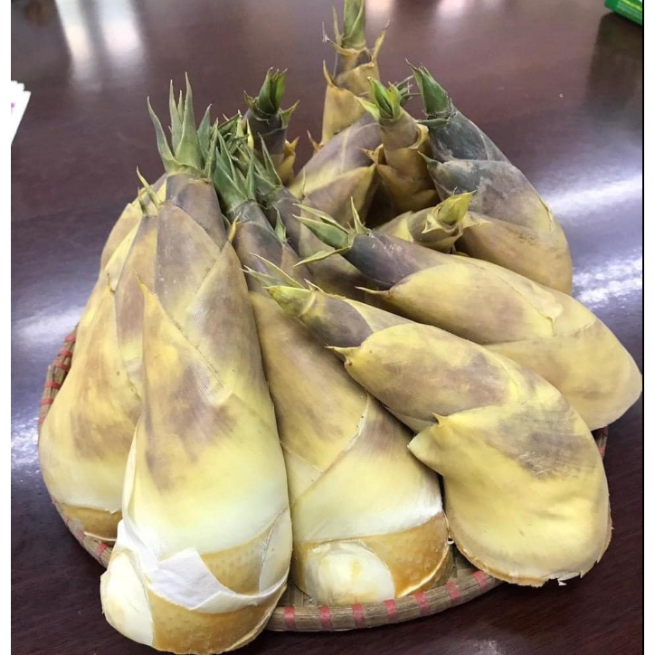 Cây Giống Măng Lục Trúc