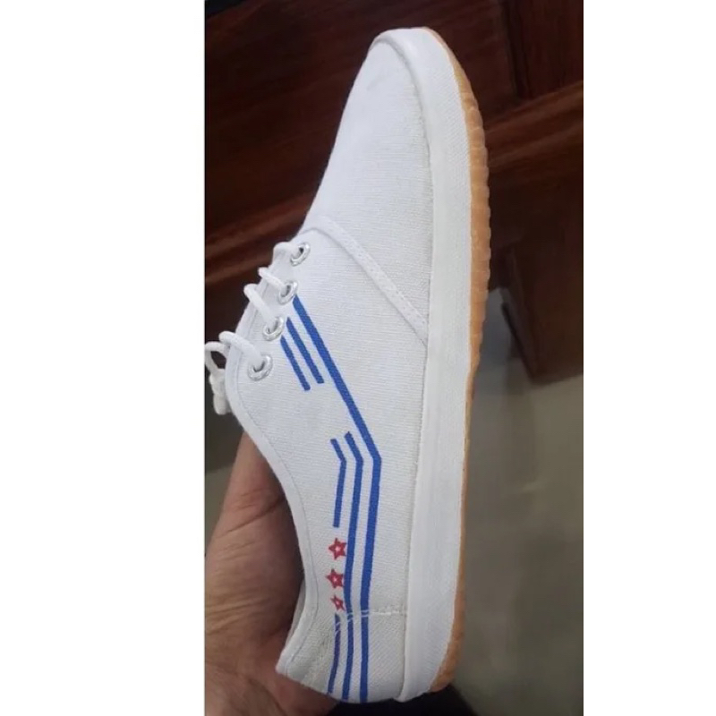 Giày bata học sinh/giày thể dục