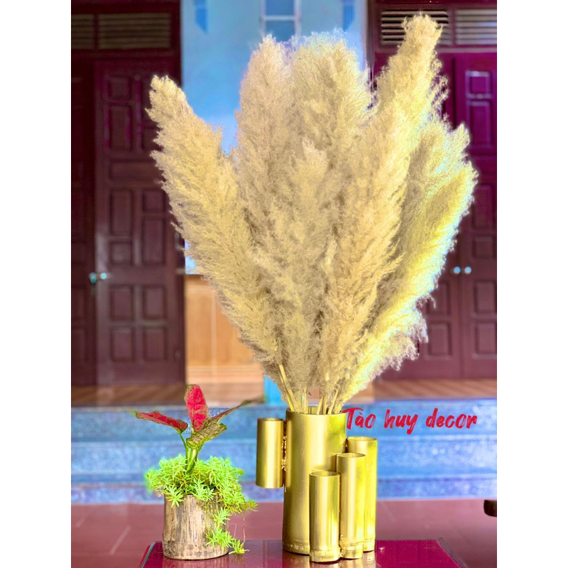 lau xù decor,bông lau, cỏ lau khô, hoa trang trí, Bông lau ,cỏ lau khô, hoa khô trang trí decor nhà, trang trí shop,spa