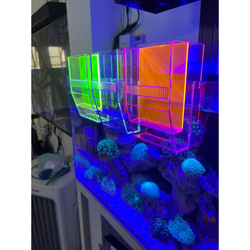 Lò đảo không máy bơm bio pellet khử no3,po4