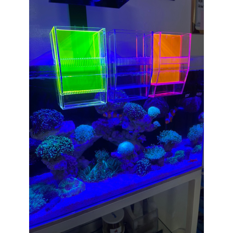 Lò đảo không máy bơm bio pellet khử no3,po4