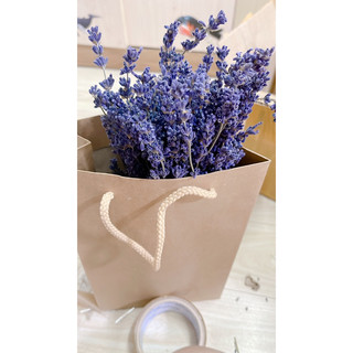 Hoa Lavender _ Oải hương Pháp
