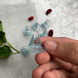 Hít kính giữ vách ngăn hồ cá cảnh
