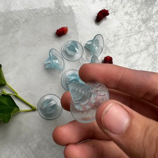 Hít kính giữ vách ngăn hồ cá cảnh