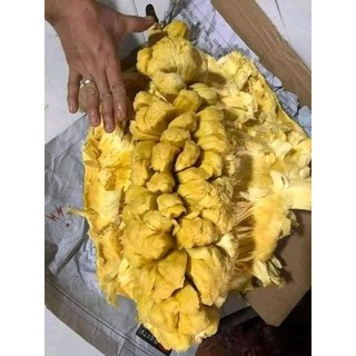 Mít tố nữ vị sầu riêng