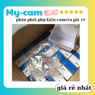 Hạt mạng Rj45 AMP Chính Hãng (100 hạt/ hộp)