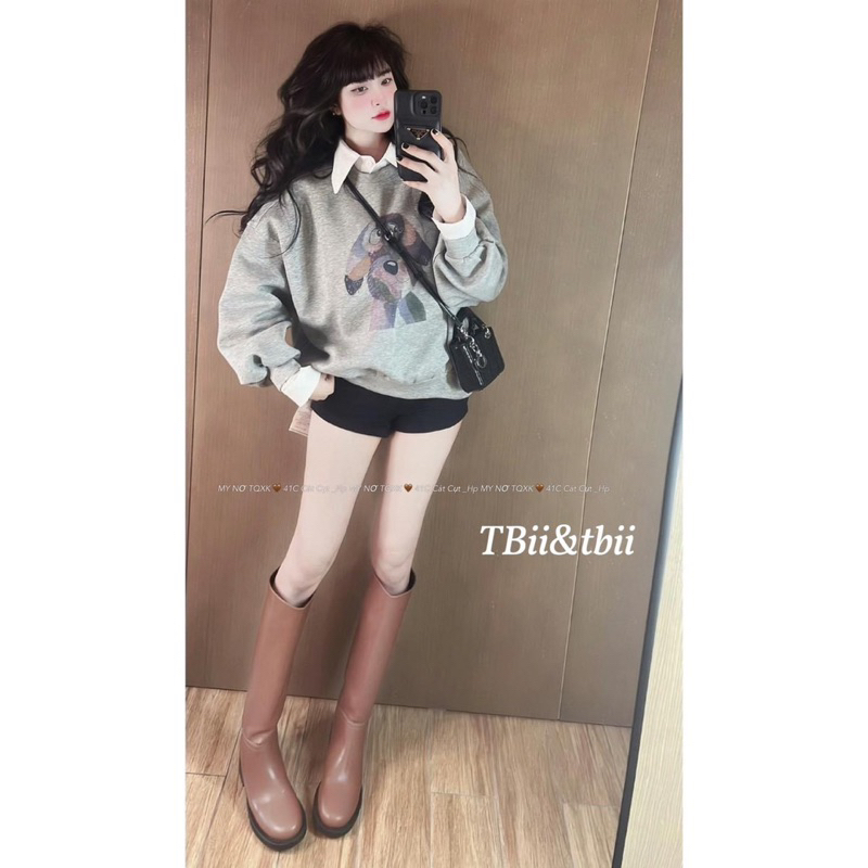 Áo Nỉ Hình Chó Cổ Sơmi L1