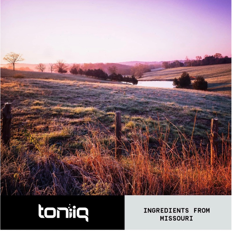 Viên chay liều cao bột củ cải đường hỗ trợ huyết áp Beet Root Toniiq 120v USA