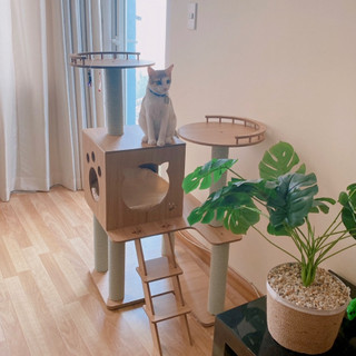Nhà cây cho mèo mẫu 02 - Cat tree