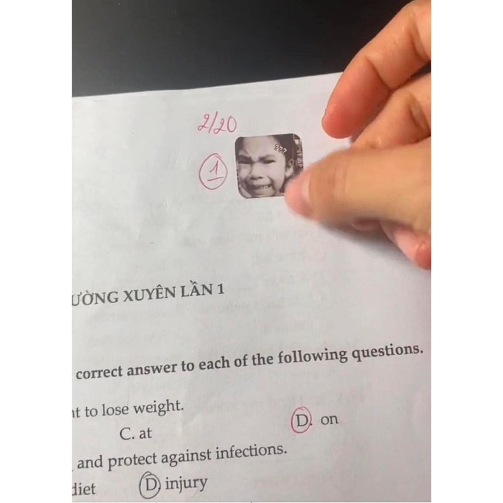 Set 63 sticker meme , sticker cute - chống nước - tranbd