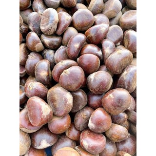 Giá bán lẻ như giá sỉ combo 10 kg hạt dẻ Sapa