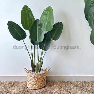Cây chuối cảnh giả, 1m4, lõi thép nhập khẩu cao cấp