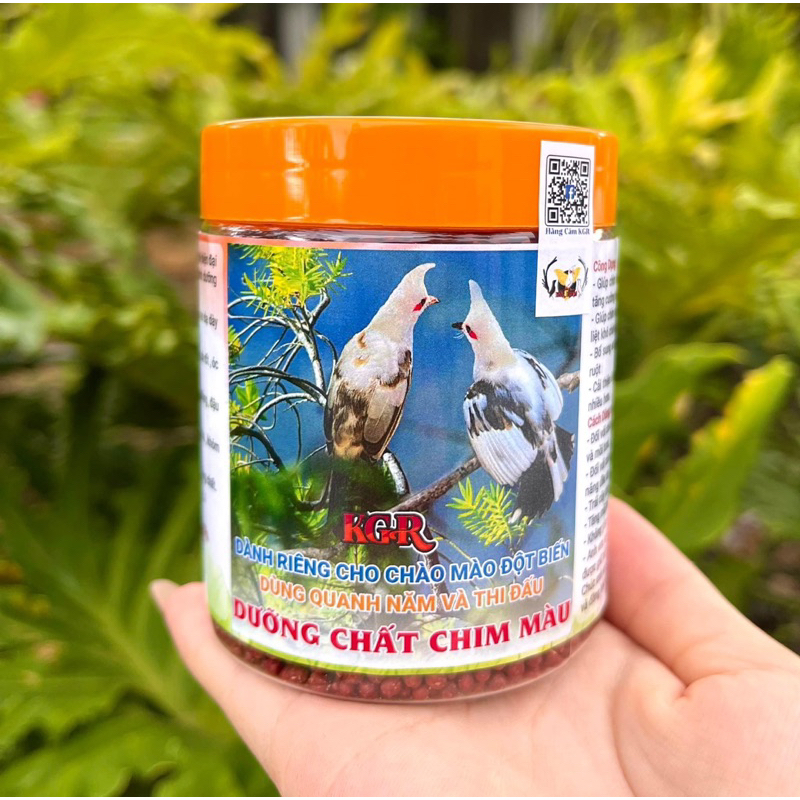 Hạt Dưỡng Chất Chim Màu