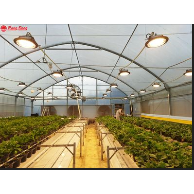 Đèn chuyên dụng cho cây ăn quả dâu tây dưa lưới cà chua