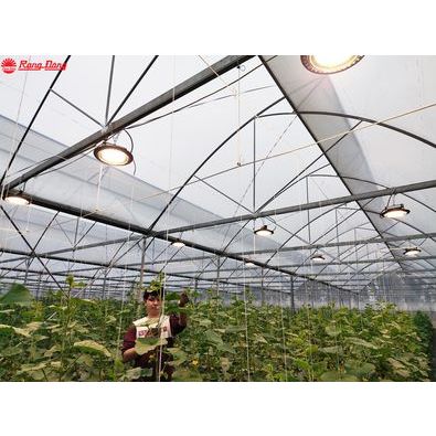 Đèn chuyên dụng cho cây ăn quả dâu tây dưa lưới cà chua