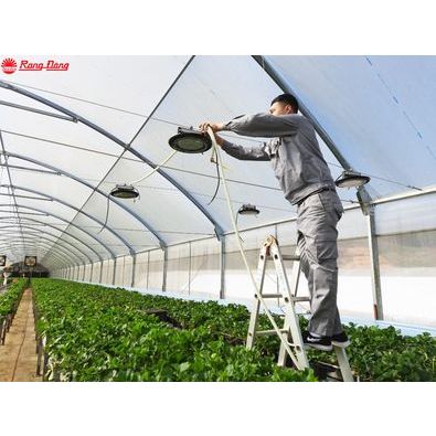 Đèn chuyên dụng cho cây ăn quả dâu tây dưa lưới cà chua