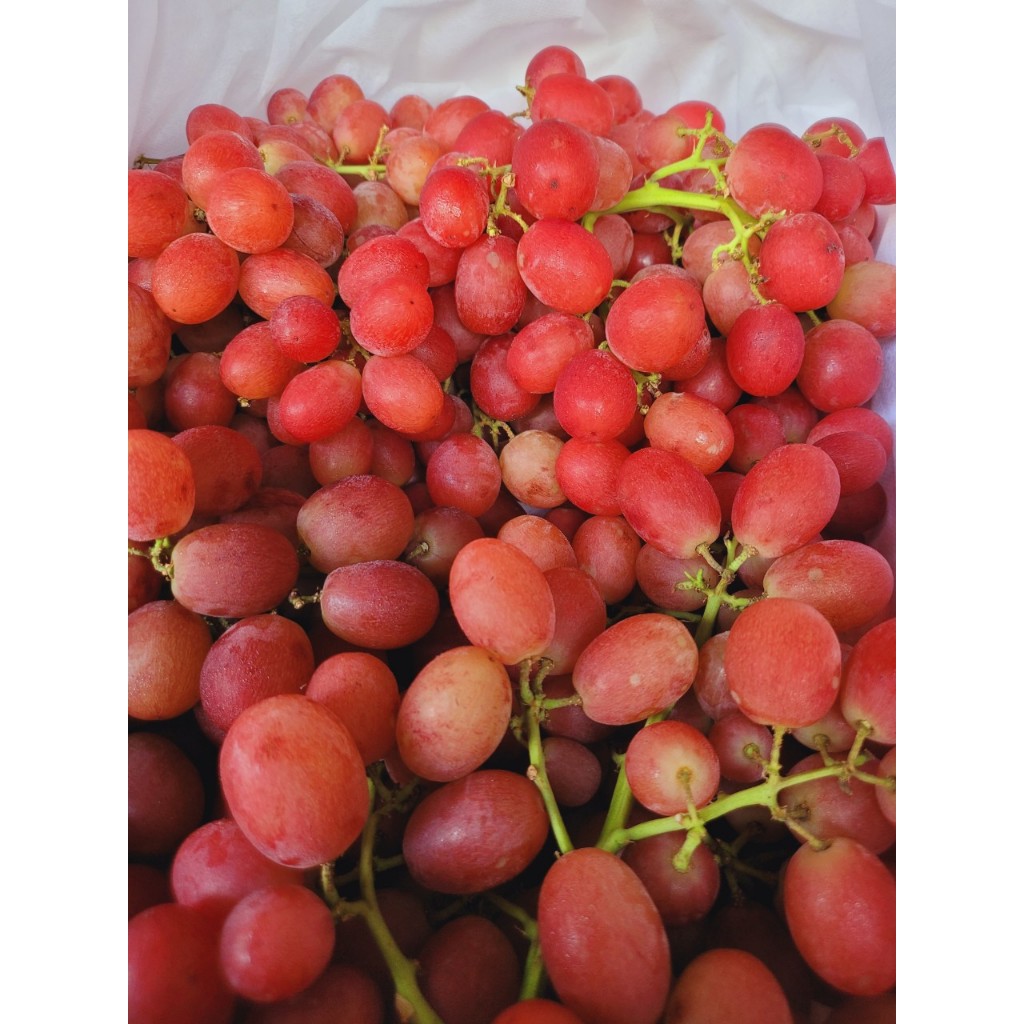 1Kg nho kẹo cứng trái ngọt không hạt có se cuống