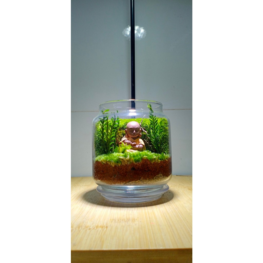 Bình Terrarium mini