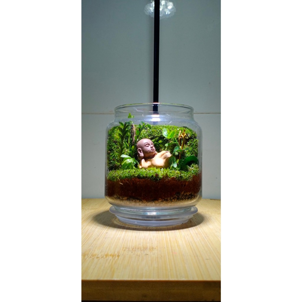 Bình Terrarium mini
