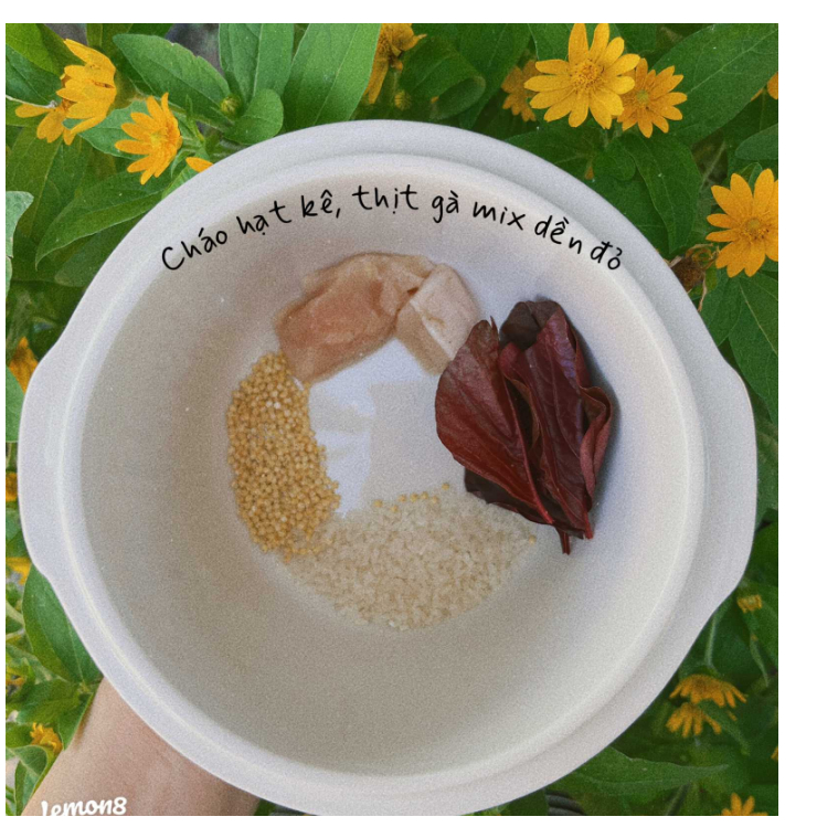 Hạt Kê Nếp Vàng Đã Tách vỏ Đặc Sản Nghệ An Bao Dẻo Nấu Bánh Kê, Chè Kê, Cháo Kê 500g cho bé ăn dặm