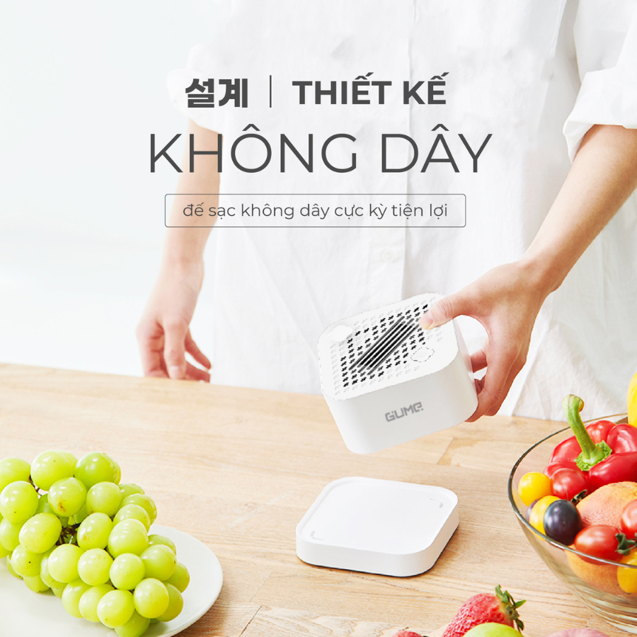 MÁY KHỬ KHUẨN THỰC PHẨM GUME OWM - 01 - HÀNG CHÍNH HÃNG - BẢO HÀNH 12 THÁNG