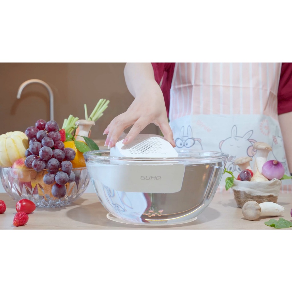 MÁY KHỬ KHUẨN THỰC PHẨM GUME OWM - 01 - HÀNG CHÍNH HÃNG - BẢO HÀNH 12 THÁNG