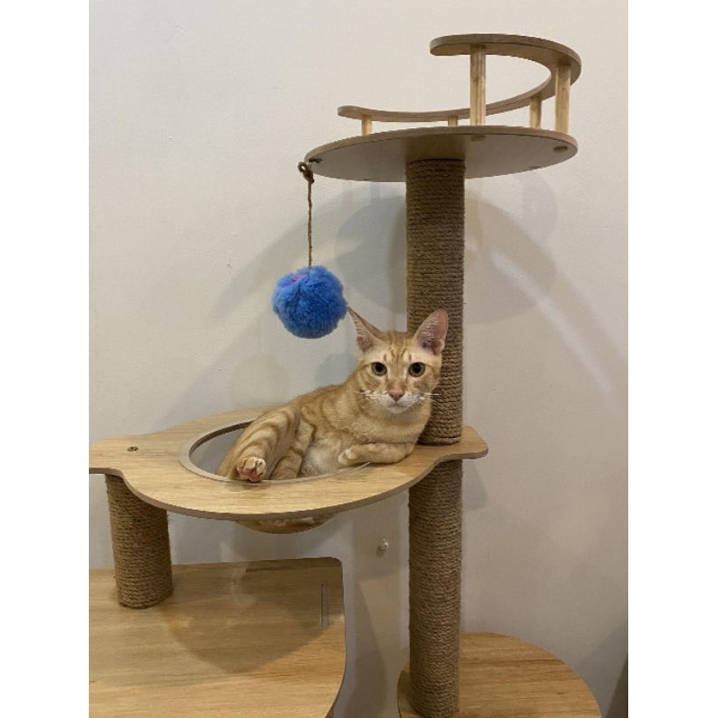 Trụ cào móng, cattree CT001
