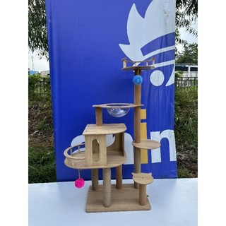 Trụ cào móng, cattree CT001