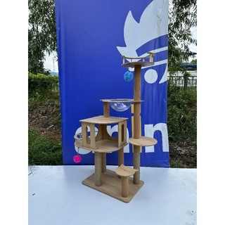 Trụ cào móng, cattree CT001