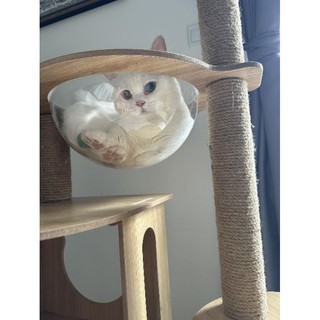 Trụ cào móng, cattree CT001
