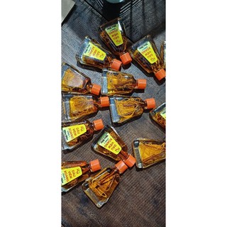 (combo 10 chai 7ml) dầu viêm Xoang Hoà Hảo ( co rễ cay)
