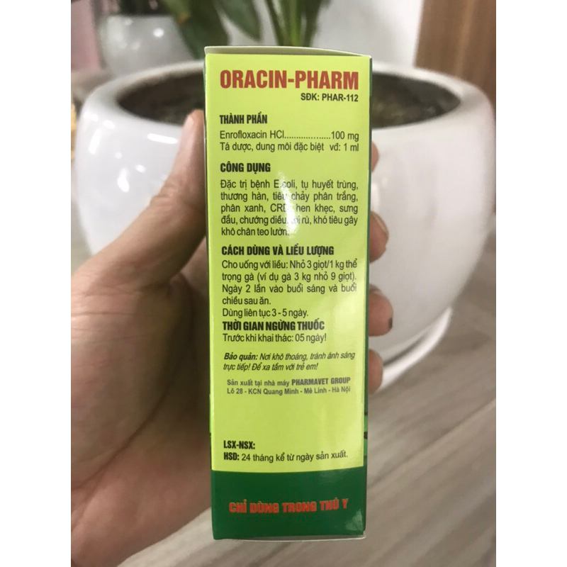 Khô chân Teo lườn gà chọi Starwin