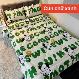 Chăn Phao Cotton Poly