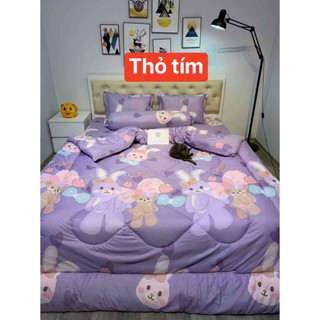 Chăn Phao Cotton Poly (Đủ Mẫu)