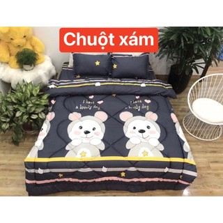 Chăn Phao Cotton Poly (Đủ Mẫu)