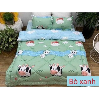 Chăn Phao Cotton Poly (Đủ Mẫu)