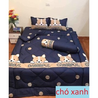Chăn Phao Cotton Poly (Đủ Mẫu)
