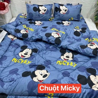 Chăn Phao Cotton Poly (Đủ Mẫu)