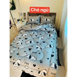 Chăn Phao Cotton Poly (Đủ Mẫu)