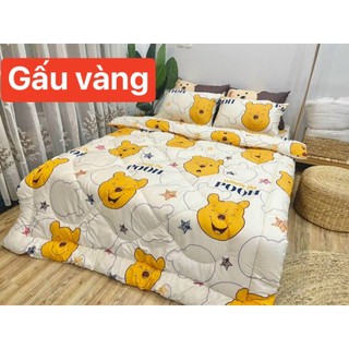 Chăn Phao Cotton Poly (Đủ Mẫu)