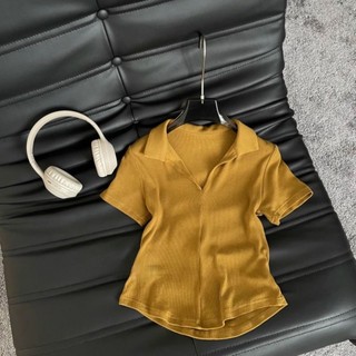 Áo thun nữ bigsize chất gân tăm cổ v áo phông bigsize cổ bẻ chất len tăm