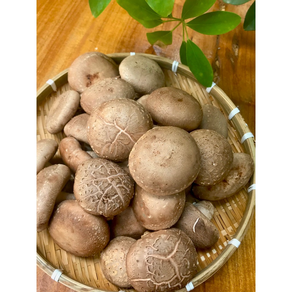 Nấm Hương Tươi - Nấm Ăn Lẩu 300gr | Nấm Sạch Việt Nam