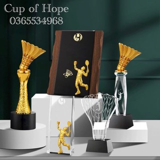 In ấn theo yêu cầu kỷ niệm chương cầu lông cúp vàng vàng lưu niệm cúp bóng đá thể thao cup lưu niệm pha lê cờ giá rẻ xịn