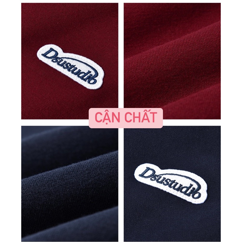 Áo nỉ sweater Dessuu logo thêu, áo nỉ lót bông nhiều màu form rộng