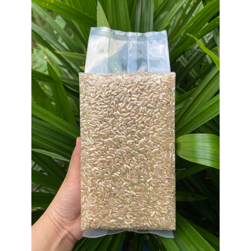 gạo lứt séng cù 1kg hút chân không