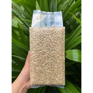 Gạo lứt séng cù 1kg hút chân không